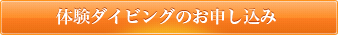 体験ダイビングのお申し込み